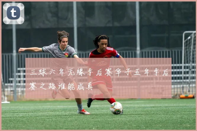 三球六年无缘季后赛华子五年季后赛之路谁能成真